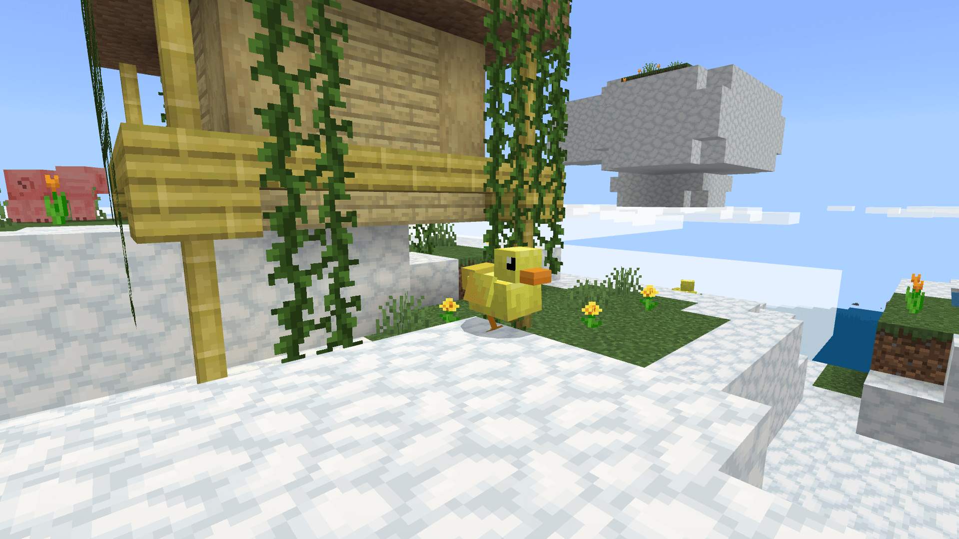 Ducks2