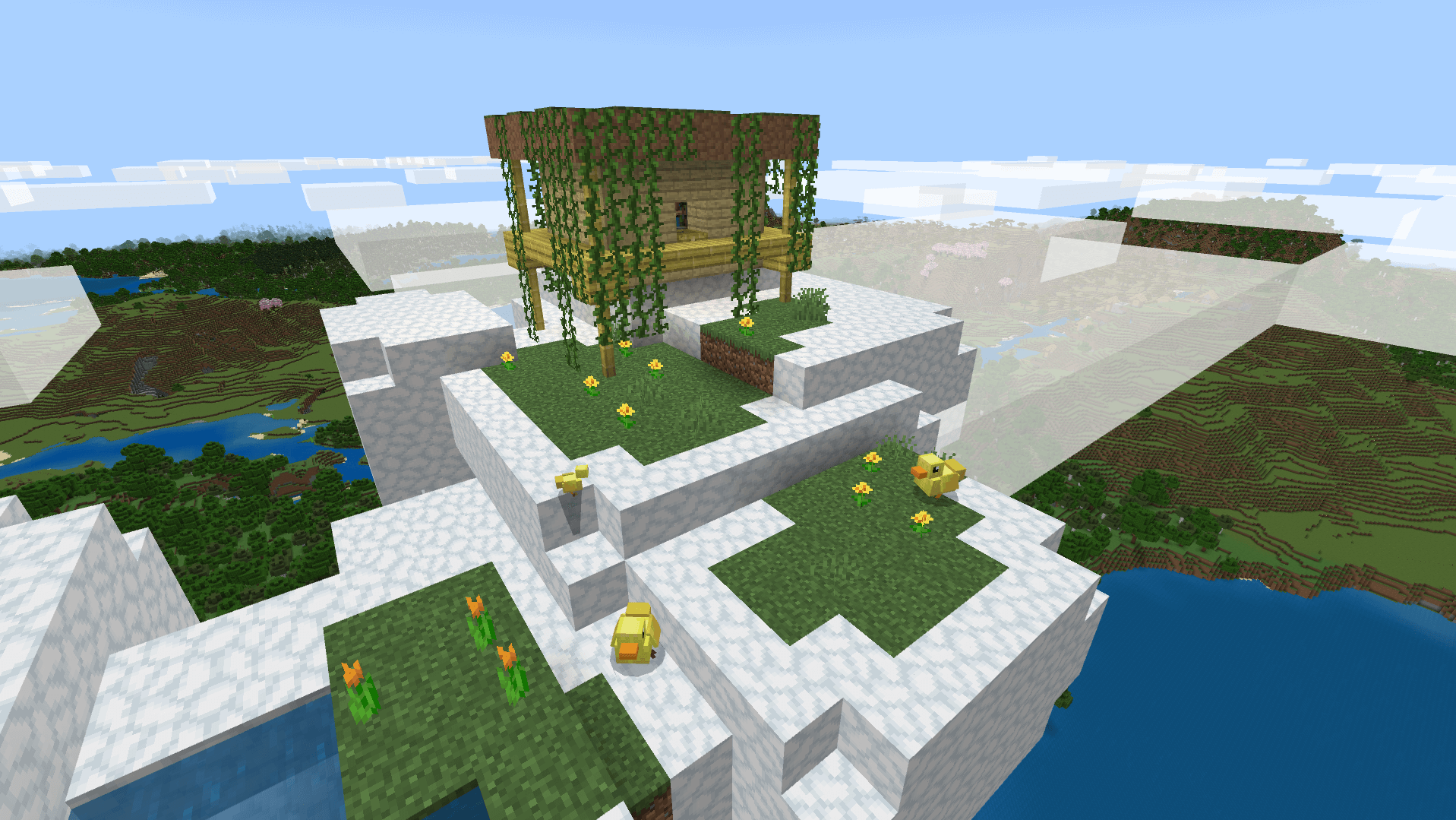 Ducks3
