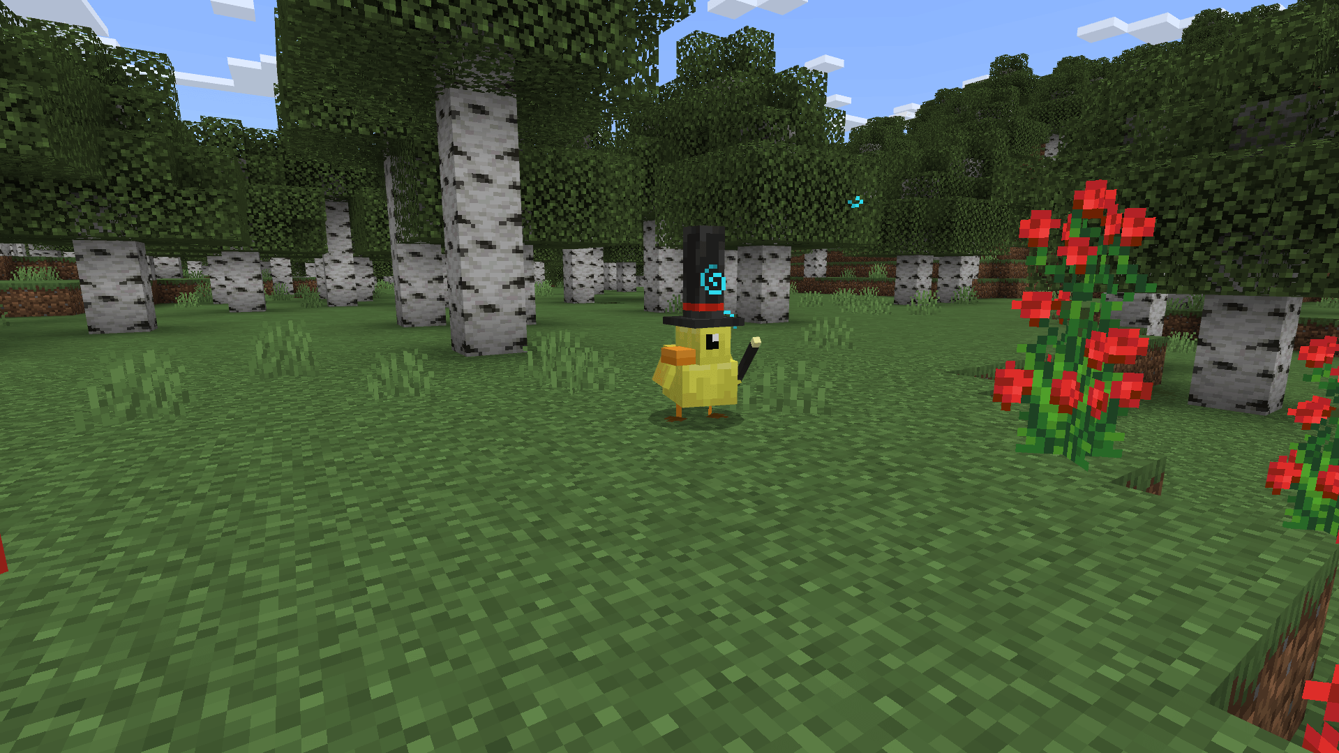 Ducks4