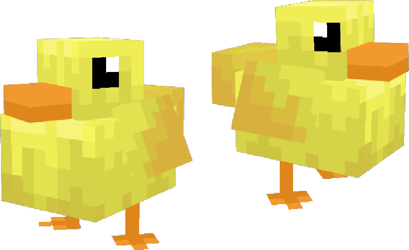 duck-2-img